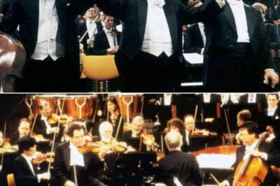 This stunning concert features Daniel Barenboim, Yo-Yo Ma, and Itzhak Perlman performing an all-Beethoven program with the Berliner Philharmoniker. They begin with Beethoven’s Triple Concerto in C Major, Op. 56: II. Largo, showcasing the trio’s exceptional talent. The evening culminates with Barenboim conducting Fantasy for Piano, Choir, and Orchestra from the piano, delivering a memorable grand finale.