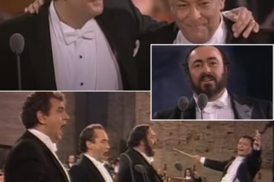 Three great voices of classical music – Luciano Pavarotti, José Carreras and Plácido Domingo – came together to perform “O Sole Mio”, giving an unforgettable performance to millions of music lovers on a legendary evening in Rome in 1990. The perfect combination of power, emotion and vocal technique of the three artists breathed new life into this famous song, making it not only resonate in the space but also touch the depths of the listeners’ souls. This was not just a concert, but a complete emotional experience, making “O Sole Mio” a symbol of the connection between music and the hearts of music lovers.
