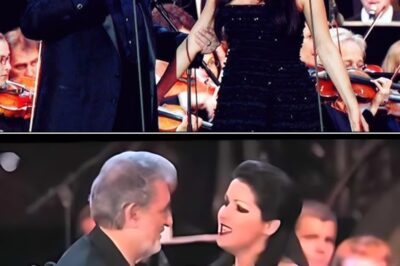 Anna Netrebko and Plácido Domingo sang the notes of the aria “Lippen schweigen” from Die lustige Witwe by Franz Lehár, the audience seemed to be lost in a romantic and profound musical space. The combination of Netrebko’s powerful soprano voice and Domingo’s warm tenor voice created a silent love dialogue, where all emotions were conveyed through music, without words. “Silent Lips” became a complete love story, each note was like a breath, a whisper from the heart. This performance not only deepened the beauty of the work but also illuminated the magic of music, where love is sublimated in every sound.
