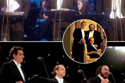 Will we ever see the likes again ? Bella ! Bella, Sehr schon. Tres belle ! The Three Tenors—Luciano Pavarotti, Plácido Domingo, and José Carreras—have delivered some of the most memorable performances in music history, and their rendition of Silent Night is no exception. A masterpiece of harmony and vocal artistry, this performance showcases the trio’s ability to transform a simple Christmas carol into a deeply moving and transcendent experience.