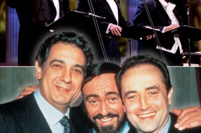 On a 1996 concert in Munich, three legendary tenors – Luciano Pavarotti, Plácido Domingo and José Carreras – gave an emotional and romantic performance of Marechiare, a famous piece by Luigi Denza. Performed by three excellent voices, the song not only demonstrated their outstanding talent but also portrayed a passionate love story. The combination of Pavarotti, Domingo and Carreras created a mesmerizing love song, drawing the audience into a dreamy and emotional musical space.