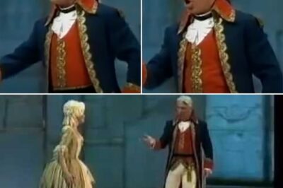 Dmitri Hvorostovsky’s Masterful Performance of “Ja vas lyublyu” from The Queen of Spades at the Mariinsky Theatre (2003)
