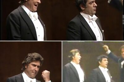 Plácido Domingo and Sherrill Milnes Deliver a Timeless Duet of “Au Fond Du Temple Saint” from The Pearl Fishers (1983)