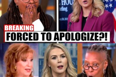 The hosts of The View issue an apology to Karoline Leavitt for their controversial comments