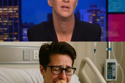Where Is Rachel Maddow? MSNBC’s Star Anchor Missing for Days—Rumors Swirl of Internal Conflict, Health Emergency, or a Major Media Shake-Up! Social Media in Total Meltdown!