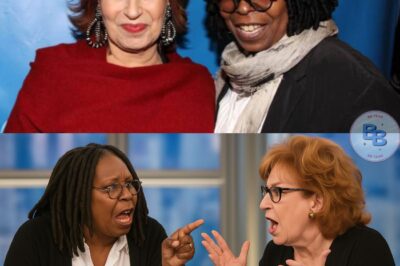 Backstage War at The View: Whoopi & Joy Reportedly Not Speaking Off-Camera!