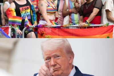 This Shocking Report Reveals Exactly How Many Hundreds of Millions Trump Allegedly Cost the Nation’s Largest LGBTQ+ Advocacy Group