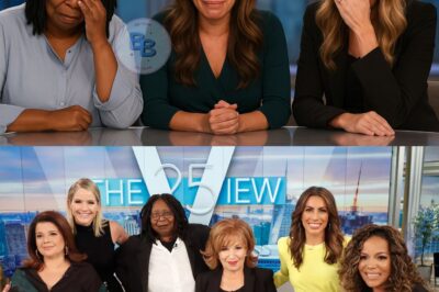 The View Sparks Outrage Replacing Fan-Favorite Host With Shocking New Face Nobody Expected