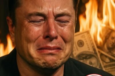 SH0CKING MELTDOWN: Elon Musk’s Fortune Takes a $44 Billion HIT Overnight After Sudden Incident No One Saw Coming…