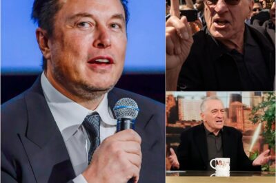 BREAKING: Elon Musk Makes Stunning Move to Buy ABC—Pulls the Plug on ‘The View’ Within Hours After Robert De Niro Calls Him an ‘Idiot’ Live on Air! Insiders Say It Wasn’t Just Business… It Was Payback, and What Musk Plans Next Will Leave Hollywood Shaking…