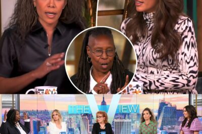 SHOCKING On-Air Meltdown at ‘The View’! Screaming Match Erupts Between Co-Hosts. Audience in Disbelief as Whoopi Goldberg Forces to Stop the Show and Publicly SCOLDS Them in Unscripted Showdown…