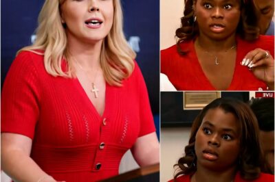 BREAKING: Karoline Leavitt STUNS National Media in Viral On-Air Clash Over LA RIOTS—Reporter Tries to Twist the Truth, But She FIRES BACK and Exposes Everything…