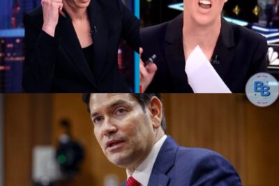 AI SCANDAL EXPLODES: Rachel Maddow Accused of Using Fake Clip to Smear Marco Rubio—Senator Fights Back Live on TV, Exposes Real Footage That Shocks the Nation and Humiliates MSNBC!
