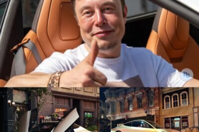 BREAKING: Elon Musk STUNS the World with $30,000 Self-Driving Tesla That “Drives Itself Better Than Any Human”—Experts Say It Could END Car Accidents Forever, Make Owners RICH Overnight, and Completely OVERTURN America’s Auto Industry! Is This the Future We’ve Been Waiting For? Full Report in Comment