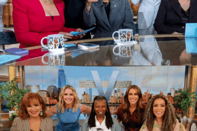 The View Sparks Outrage Replacing Fan-Favorite Host With Shocking New Face Nobody Expectedd