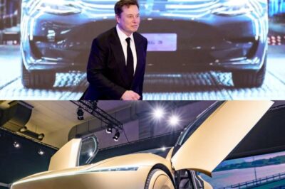 Oh my God! $4.20 for a Ride That Could Change the World! Elon Musk’s Robotaxi Officially Hits the Streets — But What’s Behind the Price, and Why Experts Are Calling It Tesla’s Most Dangerous (and Genius) Move Yet!