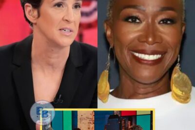 THREE MONTHS LATER: Rachel Maddow Still Heartbroken Over MSNBC’s Controversial Cancellations, But a Hidden Miracle Suddenly Changes Everything—A Secret Ally Emerges, Igniting Her Silent Battle for True Equality in Media!