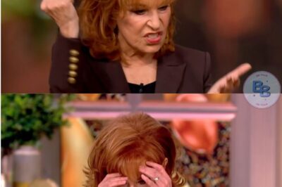 TV Shocker! Joy Behar Accidentally Spills That The View Will End Next Month—Fans Stunned as Mysterious Reason Behind Sudden Cancellation Remains Unexplained!