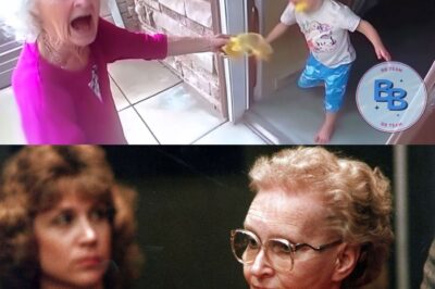6 Grandmas Gone Wild: Shocking Body Cam Moments That Left Police Stunned