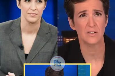 Rachel Maddow blindsided by MSNBC bombshell — left in tears after chilling message from new boss. Staff whisper about betrayal, ratings collapse, and whether Maddow’s era has finally ended for good.