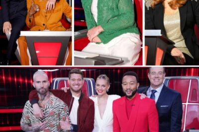 Snoop Dogg, Reba, Bublé and Niall are ready for “The Voice” season 28 and a big hint just revealed season 29 might be happening