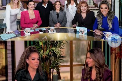 THE VIEW UNDER FIRE: Ratings Plummet After Controversial Episode—Is the Show in Trouble?