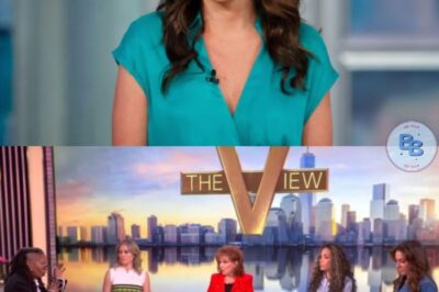 ‘OH MY GOD!’ The View in Total Chaos as Alyssa Farah Griffin Stuns Everyone With Shocking Family Joy Confession—Co-Hosts Frozen in Silence While Viewers Scramble for the Full Bombshell!