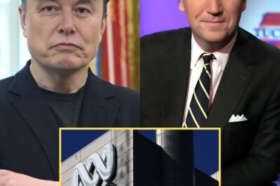 Elon Musk Vows to Eliminate ‘Woke’ Policies After Revealing ABC Acquisition Plan
