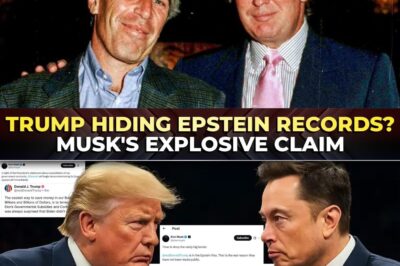 Elon Musk Went Too Far: Explosive Post Goes Viral After He Names Donald Trump in Epstein Files—Is This the Bombshell That Finally Brings Everything Crashing Down? Social Media Erupts as Americans Demand Truth and Wonder What Else Has Been Hidden About the World’s Most Controversial Elite Circles for Decades.