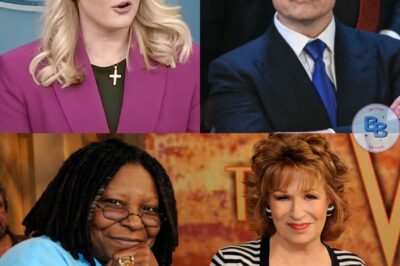 BREAKING SCANDAL: Elon Musk and Karoline Leavitt Expose ‘The View’—Claim Show Uses “Weaponized Narratives” and Scripted Agendas to Mislead Millions! Exclusive Footage Released—Could This Be the Show’s Final Season?