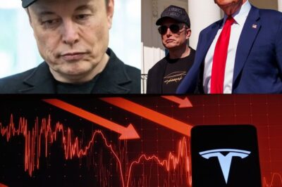 SH0CKING: $152 BILLION Vanished Overnight! Elon Musk’s Feud With Trump Spurs One of His Worst Wealth Losses Ever! The Secrets he just revealed are crashing down his status as the world’s richest person. Financial Experts warm that This Stunning Collapse Could Be Just the Beginning of a Billionaire War…