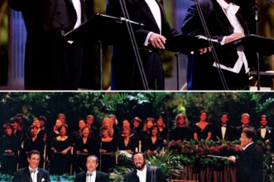 The GOAT, the King of Opera, inheritor of the crown of greatest tenor of all time, sings this Lara classic like no one else. And why not, he started singing it so young when puttering around the courtyard, everyone started calling him “Granadine.” Bravi a tutti. Paz. Plácido Domingo took the stage to sing “Granada”, a beloved song by the legendary Mexican composer Agustín Lara. This performance, alongside fellow tenors Luciano Pavarotti and José Carreras, is widely regarded as one of the defining moments of the 1990s in classical music and opera.