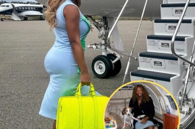Serena Williams regularly shows off her private jet with its lavish gold-trimmed interior, bringing the total value of the plane to more than $38 𝚖𝚒𝚕𝚕𝚒𝚘𝚗