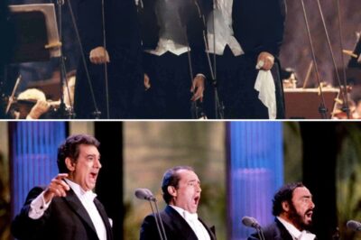 When the legendary Three Tenors — Luciano Pavarotti, Plácido Domingo, and José Carreras — graced the stage together, their performances transcended the world of classical music and became global phenomena. Among their countless memorable moments, their rendition of a popurrí featuring the iconic Mexican song “Cielito Lindo” stands out as a heartwarming tribute to Latin American music. This medley blends beloved melodies with the powerful voices of the tenors, creating a mesmerizing and joyful experience for audiences worldwide.