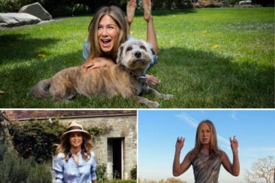 A gardener recalls the first time meeting Jennifer Aniston. Instead of acting like the homeowner, she did something very odd… then immediately apologized with a surprising comment