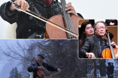 Under freezing conditions of -5°C, Yo-Yo Ma delivered a breathtaking performance in the Swiss mountains as part of the Performing Hope initiative. As he played, snowflakes clung to his coat and cello, creating a surreal and almost otherworldly scene of music merging with nature. The cold was relentless, but Ma remained deeply immersed in his performance, his artistry undeterred by the elements. His music, filled with warmth and resilience, became a symbol of hope against the stark, frozen landscape. It was more than just a concert—it was a powerful statement on the endurance of beauty, art, and the human spirit.