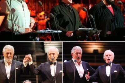 Set against the awe-inspiring backdrop of Petra, Jordan, the Luciano Pavarotti Memorial Concert became a landmark moment in opera history. This deeply emotional tribute honored the legendary tenor by reuniting two of his iconic “Three Tenors” partners, Plácido Domingo and José Carreras, for an unforgettable night of breathtaking performances. The event was not just a concert but a heartfelt celebration of Pavarotti’s enduring legacy, filling the ancient city with operatic grandeur and profound emotion.