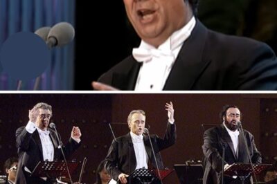 Plácido Domingo’s performance of Granada during The Three Tenors in Concert 1994 remains a highlight in the world of classical music. His interpretation of Agustín Lara’s iconic song, a passionate ode to the Spanish city of Granada, showcased his vocal brilliance and emotional depth. Domingo’s rich, resonant voice brought new life to this beloved piece, blending opera and popular music effortlessly. The historic concert, broadcast globally, introduced millions to the beauty of Granada and cemented Domingo’s legacy as one of the greatest tenors, demonstrating his unparalleled ability to connect with audiences through music.