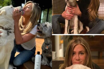 Veterinarians in LA said Jennifer Aniston’s strange habit when taking her dog to the vet has left everyone amazed. After learning what that habit is, fans exclaimed: “Jennifer is truly a star with a warm heart”