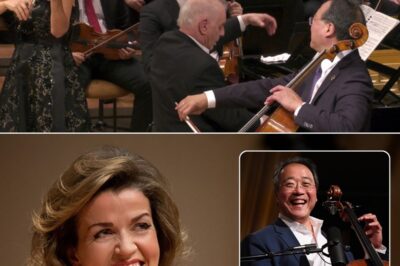 Three legendary musicians—Anne-Sophie Mutter, Yo-Yo Ma, and Daniel Barenboim—come together in a breathtaking performance of Beethoven’s Triple Concerto in C Major, Op. 56. This historic collaboration not only honors Beethoven’s 250th anniversary but also highlights the deep musical chemistry between these virtuosos. Their masterful interpretation breathes life into every note, creating an emotional journey that transcends time. With Barenboim leading the West-Eastern Divan Orchestra, the performance becomes more than just music—it’s a message of unity, artistry, and hope. Whether heard on a quiet morning or in a moment of reflection, this masterpiece soothes the soul and reaffirms Beethoven’s genius.