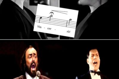 Freddie Mercury and Luciano Pavarotti sharing the stage for “Nessun Dorma” — a breathtaking fusion of rock royalty and operatic grandeur. Freddie’s electrifying charisma, his voice soaring with soul-stirring passion, intertwining with Pavarotti’s commanding, majestic tenor — the result would be nothing short of transcendent.