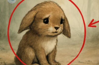 A baby bunny, grieving the loss of its mother, sets out on an emotional quest to find love, family, and the comfort that only true connection can bring.