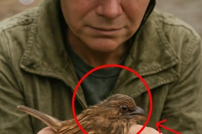 The Injured Bird: Soaring Toward a New Beginning
