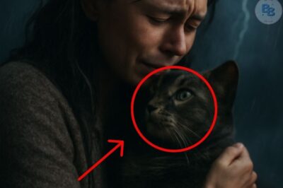 A Friend in the Storm: My Loyal Cat Rescues Me From the Chaos, Offering Comfort in the Darkest Hour