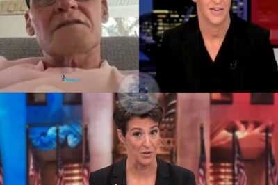 LIVE TV CHAOS: Rachel Maddow DEFIES New MSNBC Boss On-Air—Refuses Script, Drops Truth Bomb, and Leaves Studio in PANIC! Was This a Power Move or a Final Stand? Network Execs Seen Arguing Off-Camera. Is a Host Revolt Brewing Behind the Scenes?