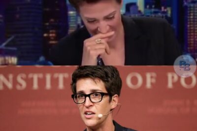 Rachel Maddow Just Vanished from the Air… What Happened in the Last 6 Minutes Has Everyone Talking