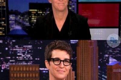 Is Rachel Maddow Leaving MSNBC? Her New Move Has Fans Guessing—and Executives Panicking