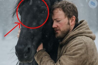 The Loyal Stallion: A Bond Beyond Words, This Horse Becomes My Savior in the Harshest and Most Daring Times