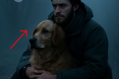 “Unbreakable Bonds: The Dog Who Never Left My Side During the Longest Night”