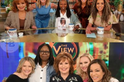 VIEW IN CRISIS: Ratings Plummet as Controversial Episode Sparks Mass Viewer Exodus—Can AOBC Reclaim Lost Audience?